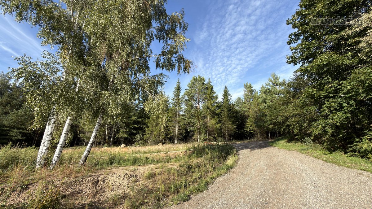 53 Arai Žalumos Jūsų Naujai Pradžiai - nuotraukos Nr. 6