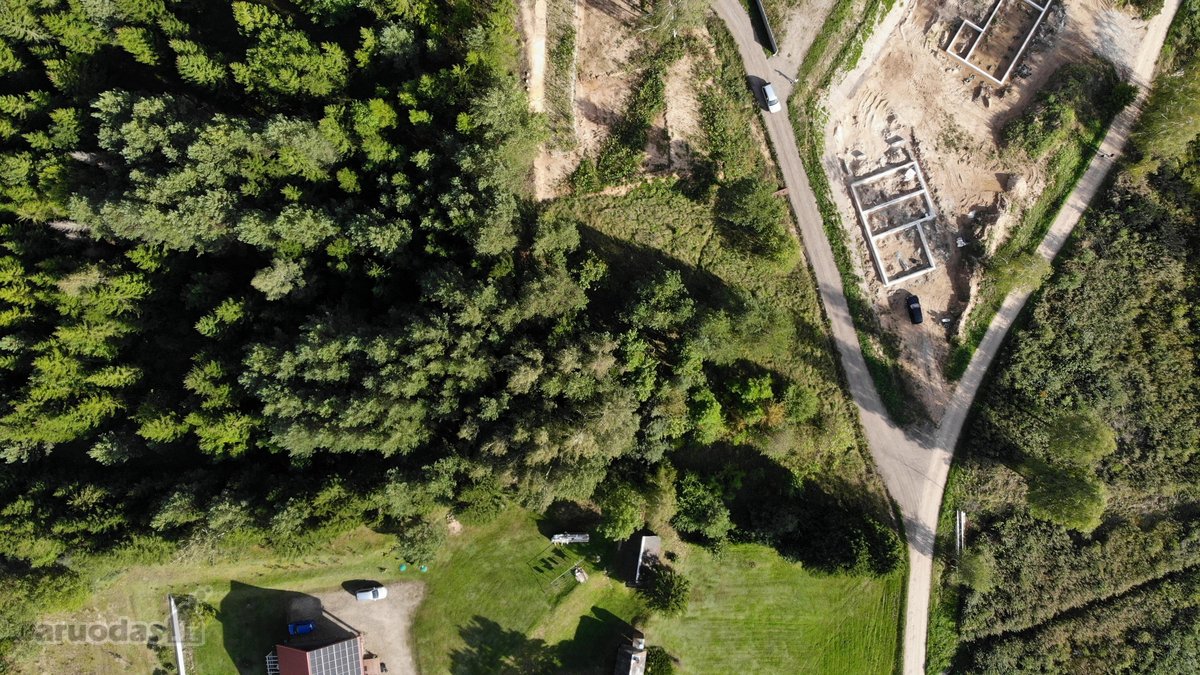 53 Arai Žalumos Jūsų Naujai Pradžiai - nuotraukos Nr. 11