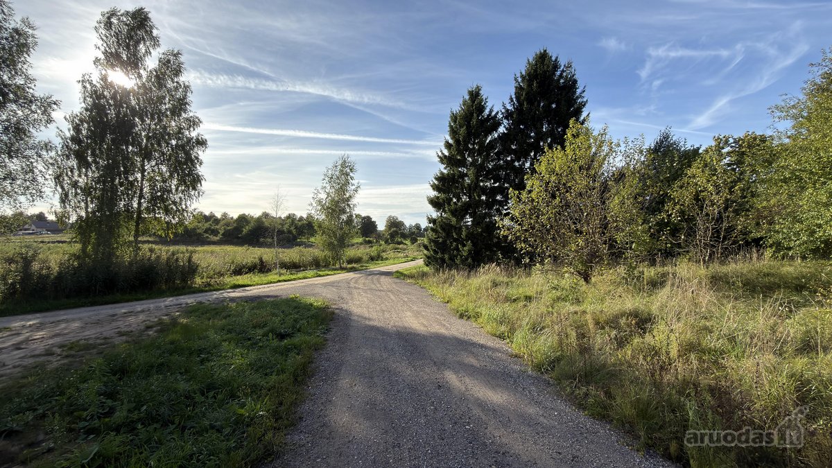 53 Arai Žalumos Jūsų Naujai Pradžiai - nuotraukos Nr. 15