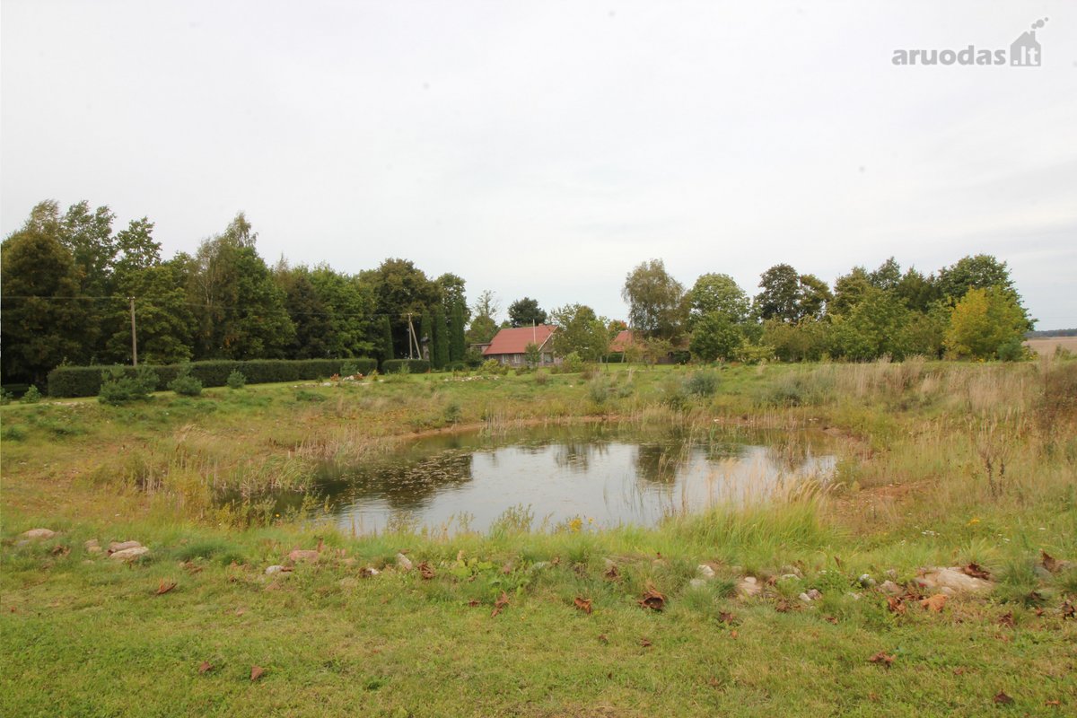 Parduodama sodyba šalia Gruzdžių, Šiaulių raj. - nuotraukos Nr. 12