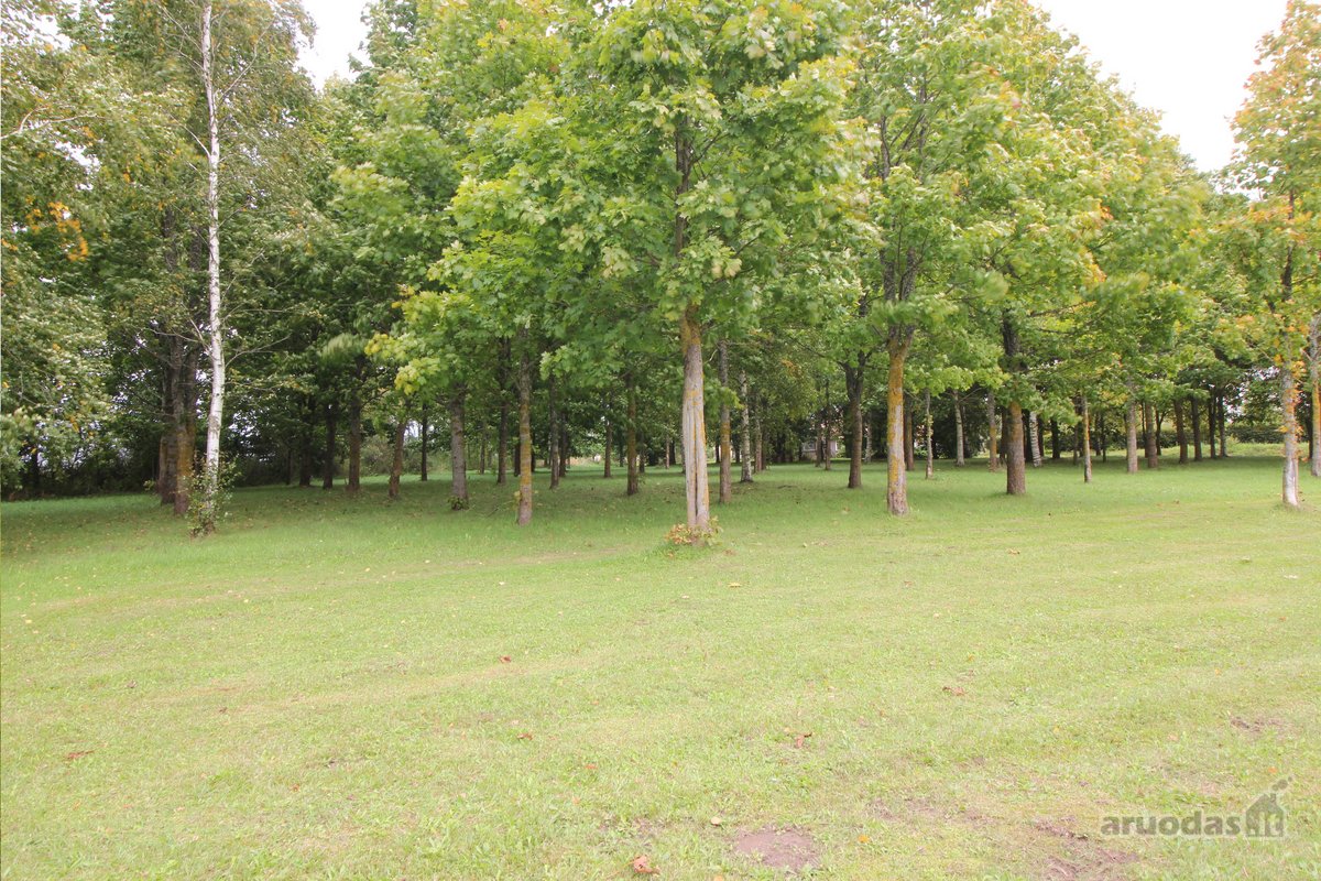 Parduodama sodyba šalia Gruzdžių, Šiaulių raj. - nuotraukos Nr. 14