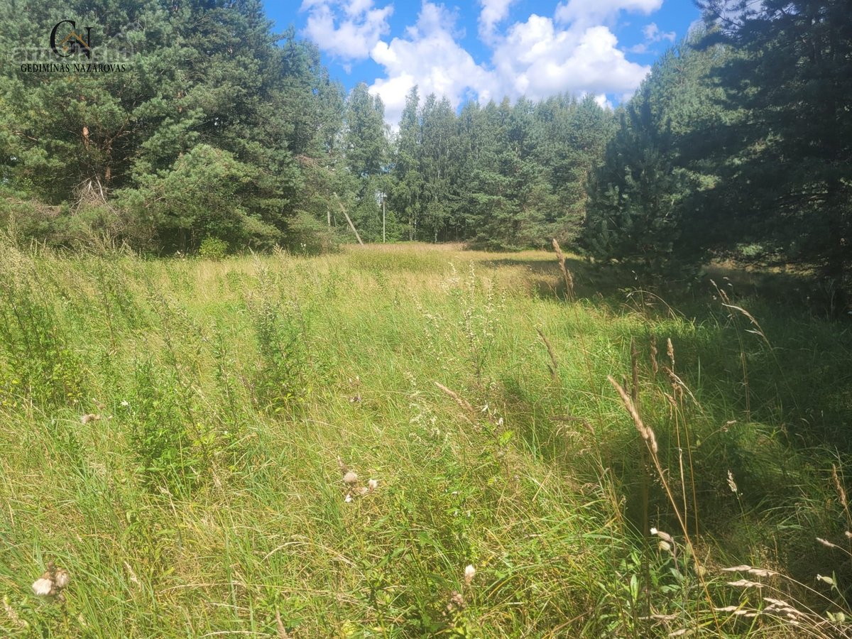 60 Arų Sklypas Miškų Apsuptyje – Erdvė Jūsų - nuotraukos Nr. 2