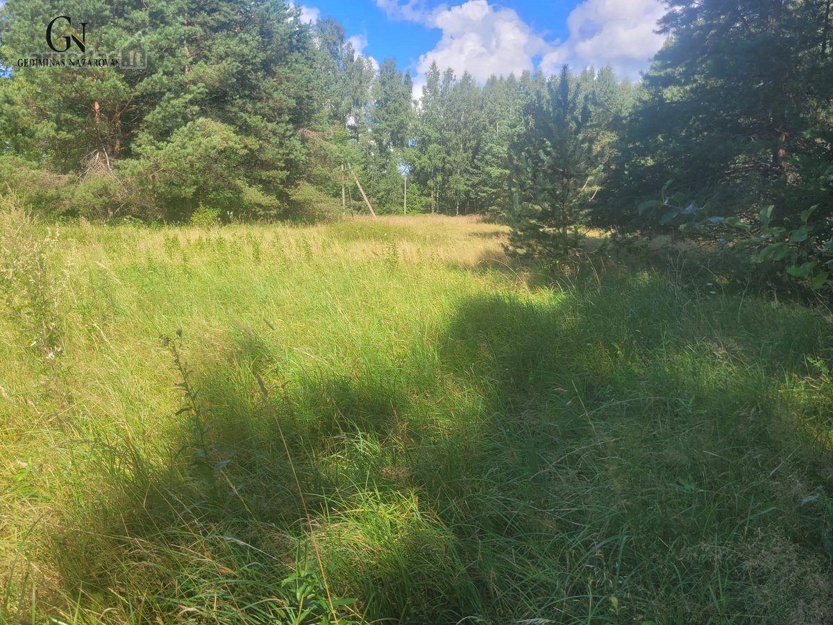 60 Arų Sklypas Miškų Apsuptyje – Erdvė Jūsų - nuotraukos Nr. 3