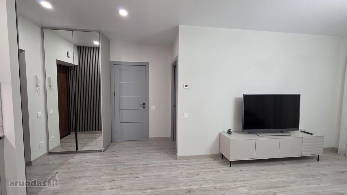 Išnuomojamas naujai įrengtas, šviesus ir - nuotraukos Nr. 2