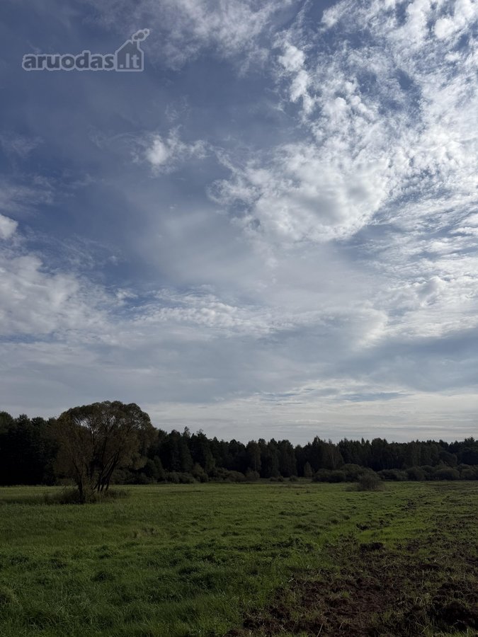 Parduodamas 4,10ha žemės ūkio paskirties - nuotraukos Nr. 3