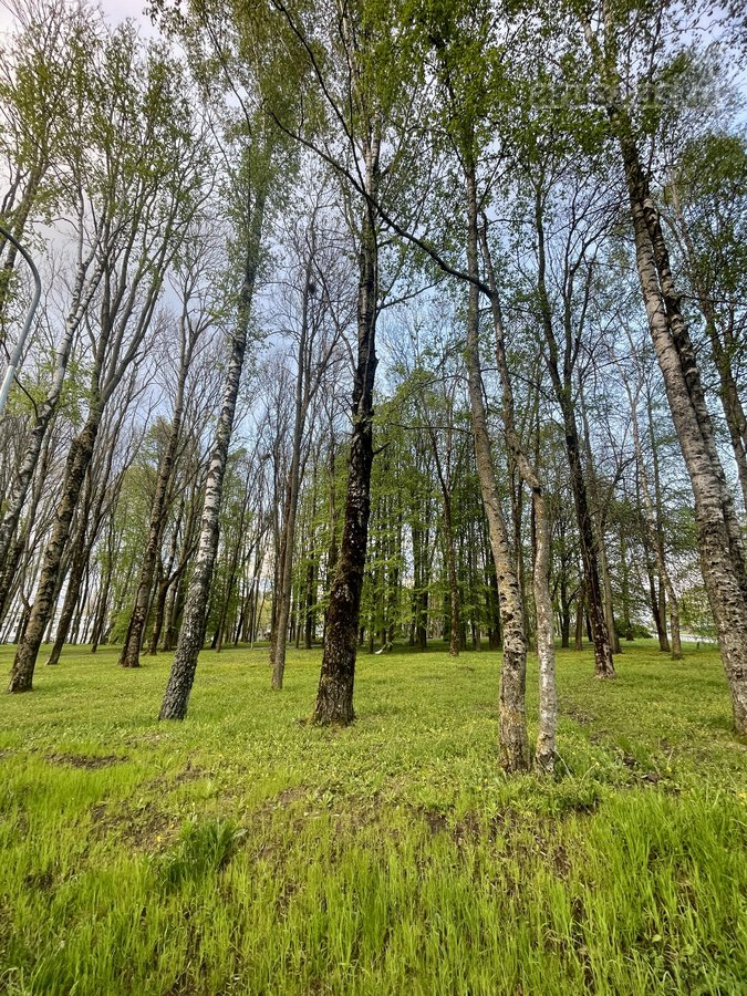 Parduodamas tvarkingas, šviesus 2 kambarių - nuotraukos Nr. 15