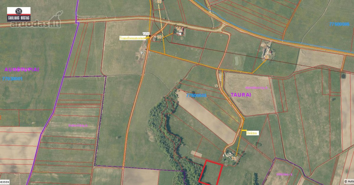 Parduodamas labai gražus 1,1000 ha žemės - nuotraukos Nr. 9