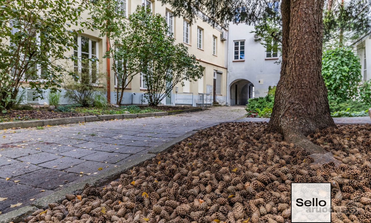 – Nt ekspertai be procentų - nuotraukos Nr. 28