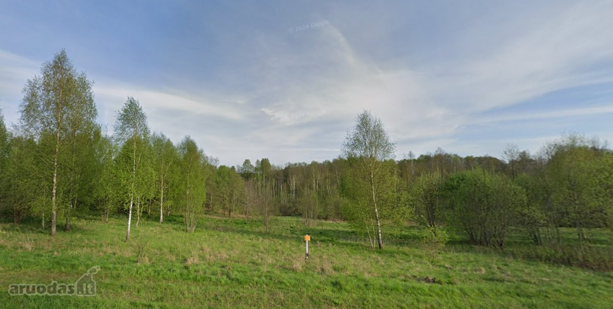 Parduodamas žemės ūkio paskirties sklypas - nuotraukos Nr. 5