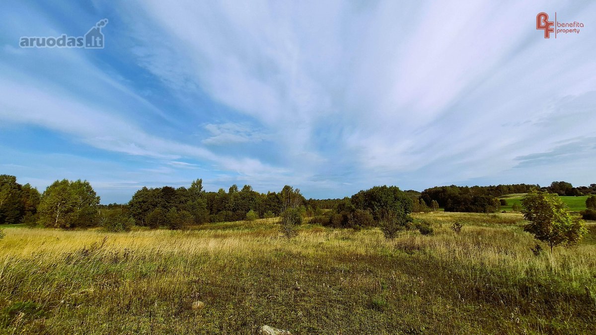 Parduodamas 10,8715 ha žemės ūkio paskirties - nuotraukos Nr. 2