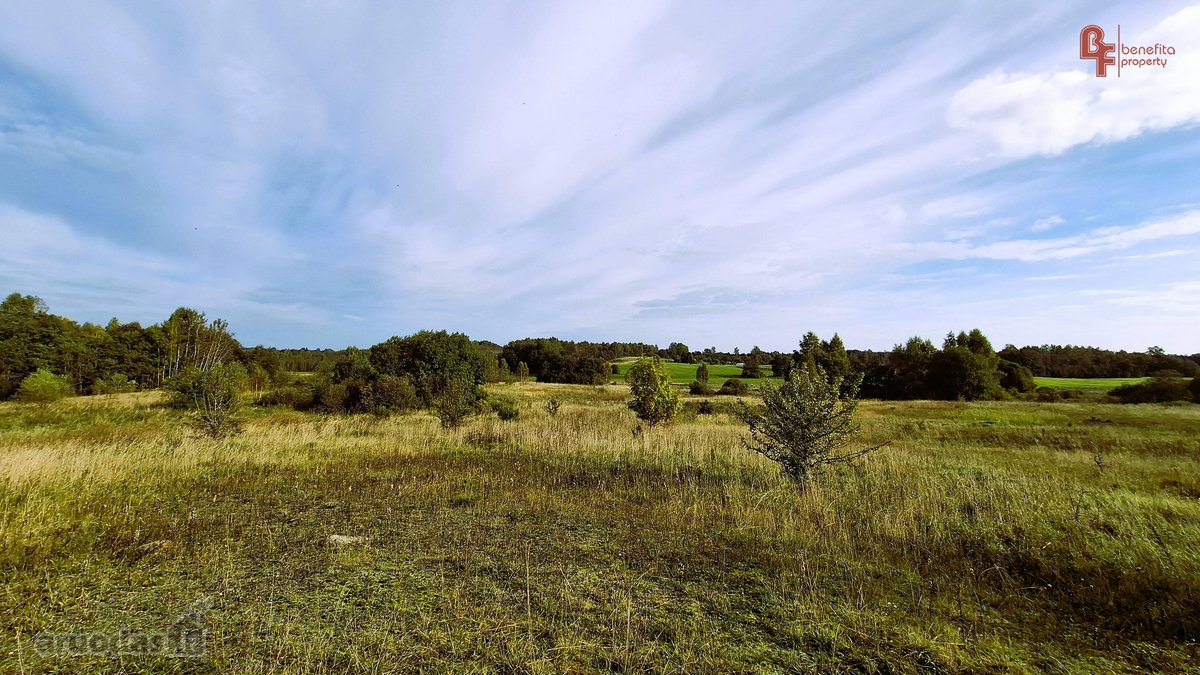 Parduodamas 10,8715 ha žemės ūkio paskirties - nuotraukos Nr. 3