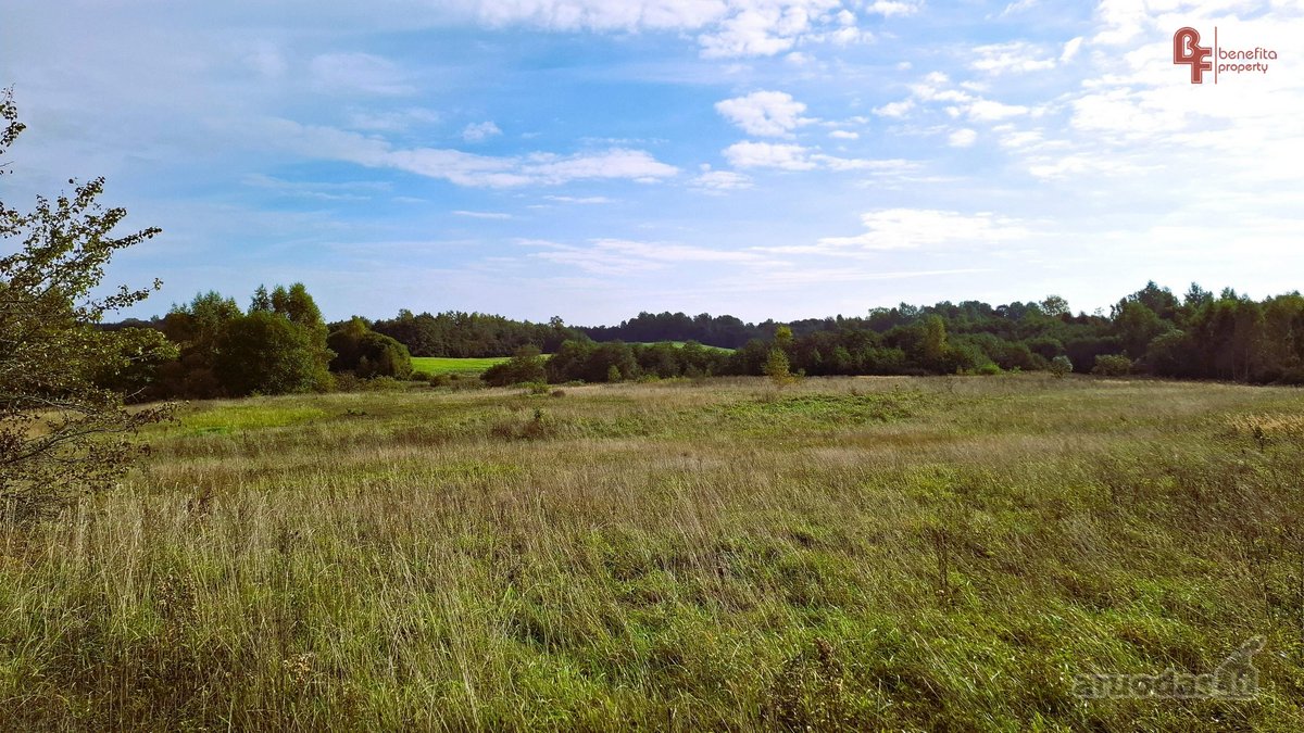 Parduodamas 10,8715 ha žemės ūkio paskirties - nuotraukos Nr. 4