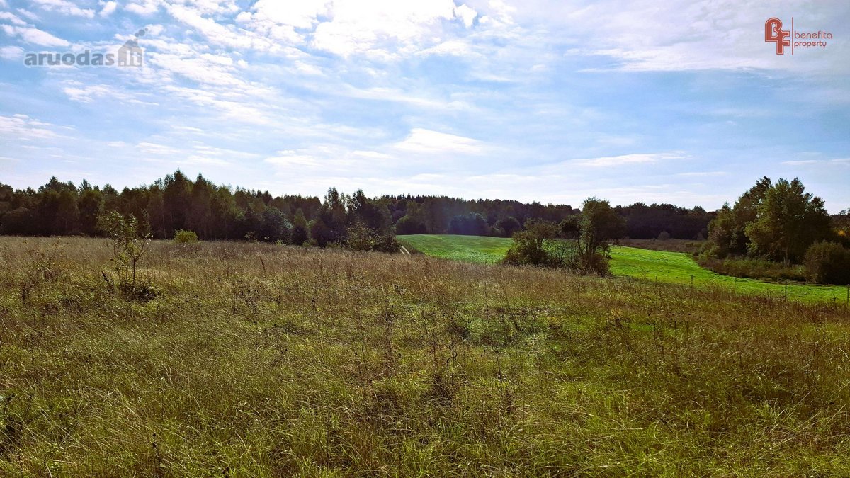 Parduodamas 10,8715 ha žemės ūkio paskirties - nuotraukos Nr. 5