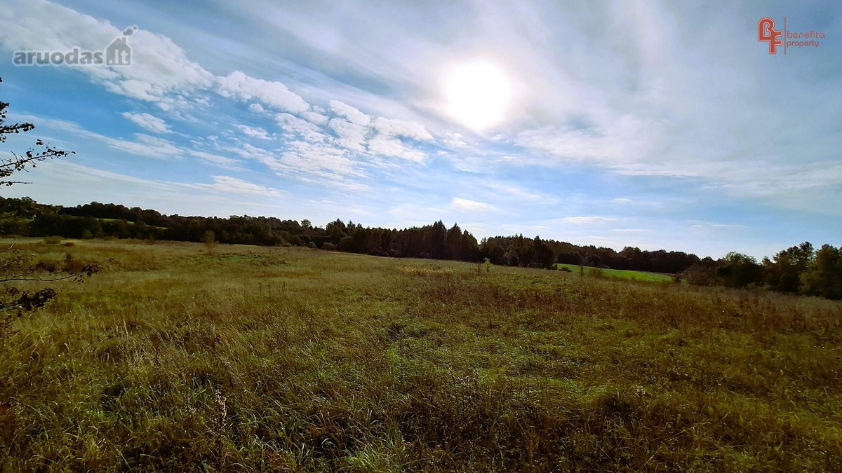 Parduodamas 10,8715 ha žemės ūkio paskirties - nuotraukos Nr. 6