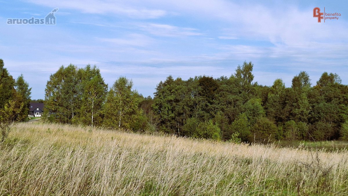 Parduodamas 10,8715 ha žemės ūkio paskirties - nuotraukos Nr. 7