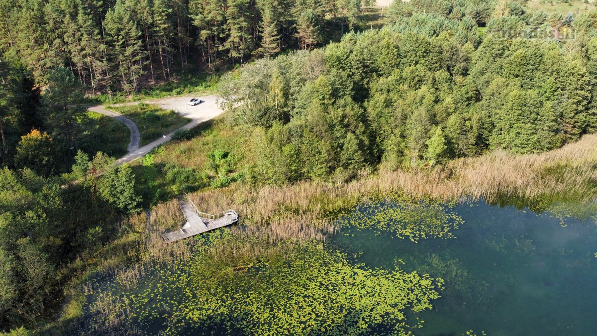 Parduodamas 91,52 a rekreacinės paskirties - nuotraukos Nr. 7