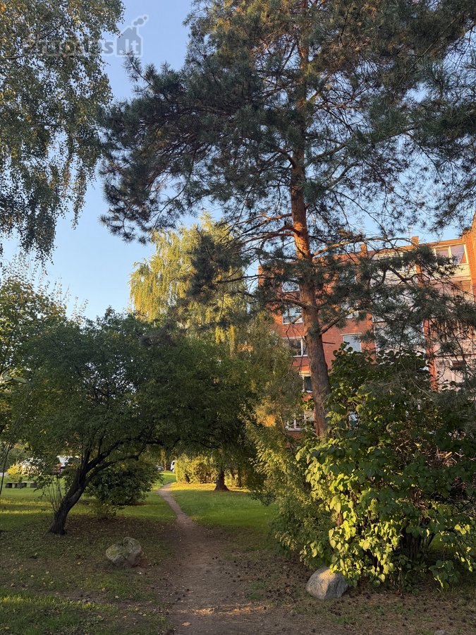 Nuomojamas šviesus, jaukus ir skoningai - nuotraukos Nr. 13