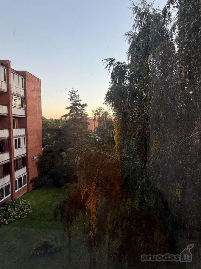 Nuomojamas šviesus, jaukus ir skoningai - nuotraukos Nr. 16