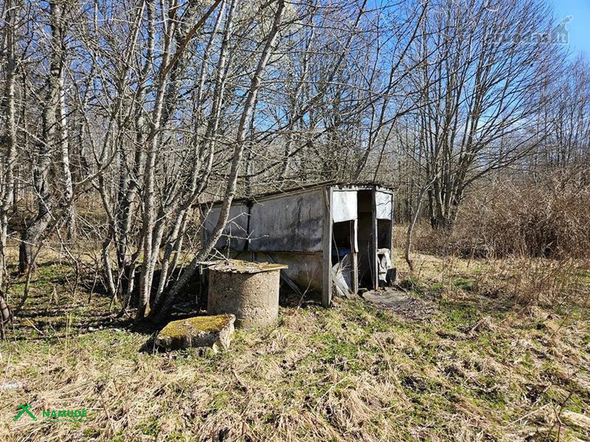 Parduodamas 10,77 ha žemės ūkio paskirties - nuotraukos Nr. 9
