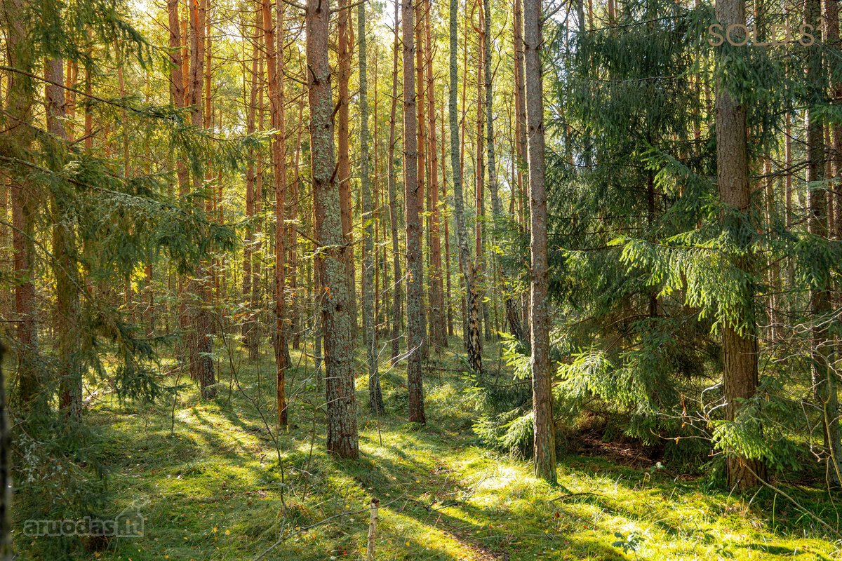 Kviečiame Į Atvirus Namus Spalio 18 D. - nuotraukos Nr. 16