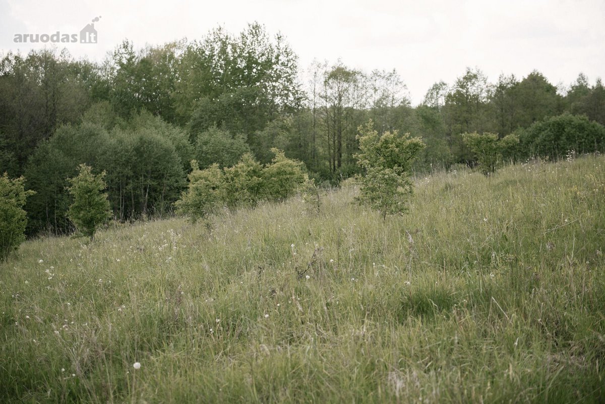 Parduodami 2, bendro 2,29 ha ploto, žemės - nuotraukos Nr. 7