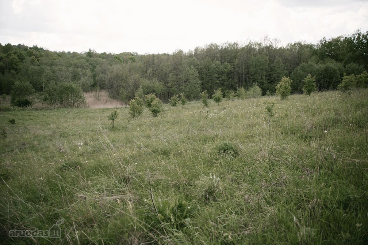 Parduodami 2, bendro 2,29 ha ploto, žemės - nuotraukos Nr. 9