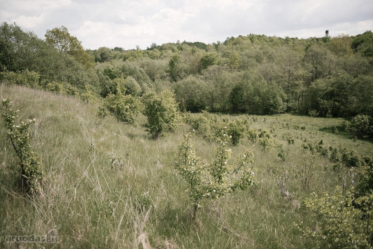 Parduodami 2, bendro 2,29 ha ploto, žemės - nuotraukos Nr. 15