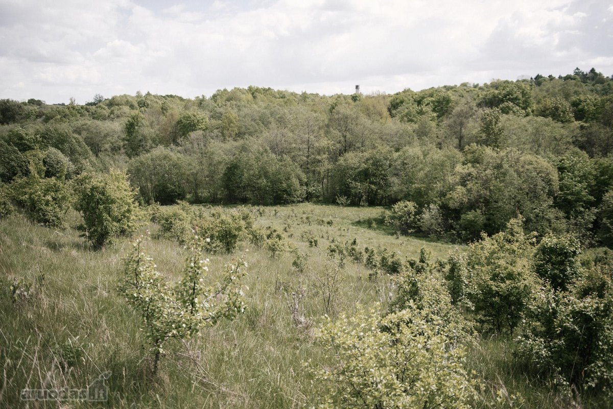Parduodami 2, bendro 2,29 ha ploto, žemės - nuotraukos Nr. 20