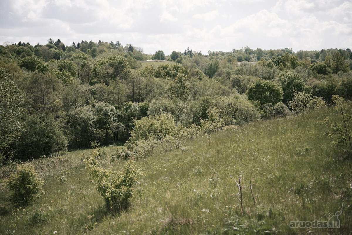 Parduodami 2, bendro 2,29 ha ploto, žemės - nuotraukos Nr. 19