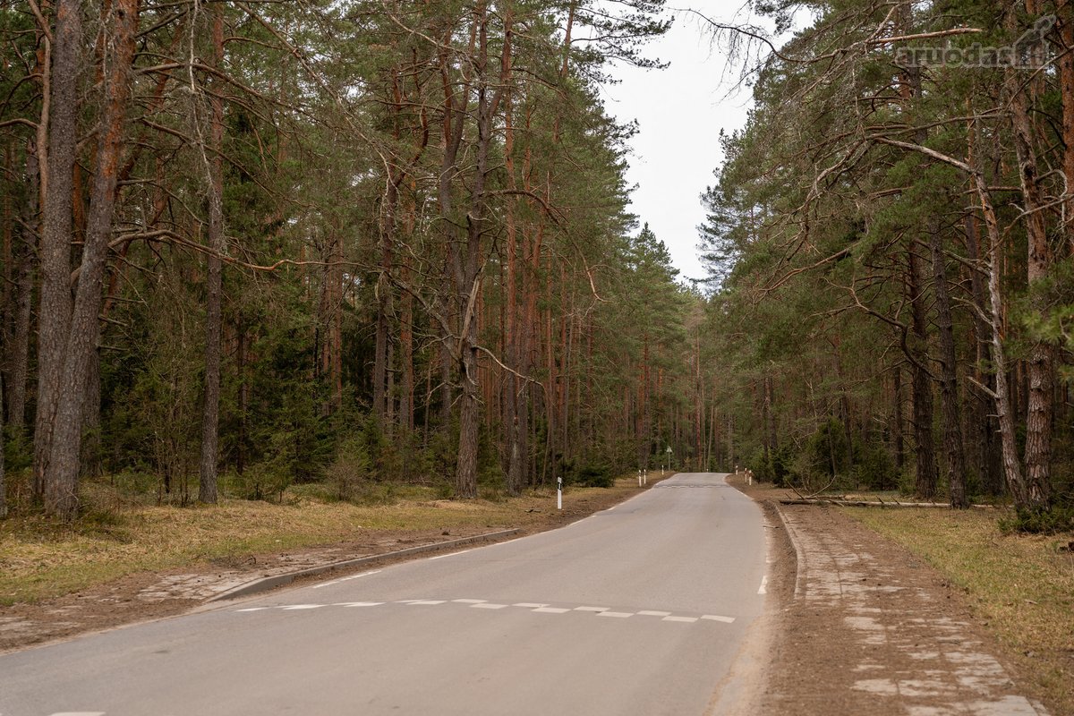 Išskirtinė Ramybė Šalia Miško – Jūsų Namams! - nuotraukos Nr. 8