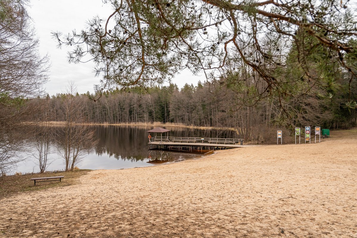 Išskirtinė Ramybė Šalia Miško – Jūsų Namams! - nuotraukos Nr. 15