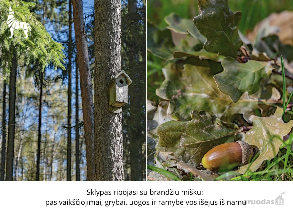 Kviečiame atvykti į Atvirų durų dieną! - nuotraukos Nr. 16