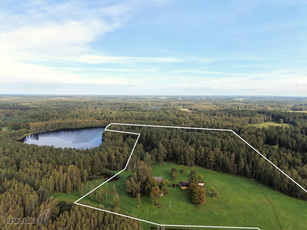 Išskirtinė sodyba miško apsuptyje su 13,17 ha - nuotraukos Nr. 4