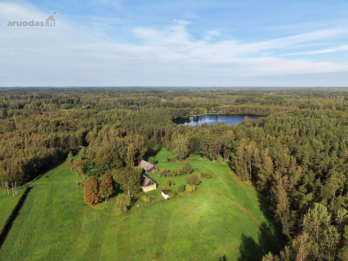 Išskirtinė sodyba miško apsuptyje su 13,17 ha - nuotraukos Nr. 3