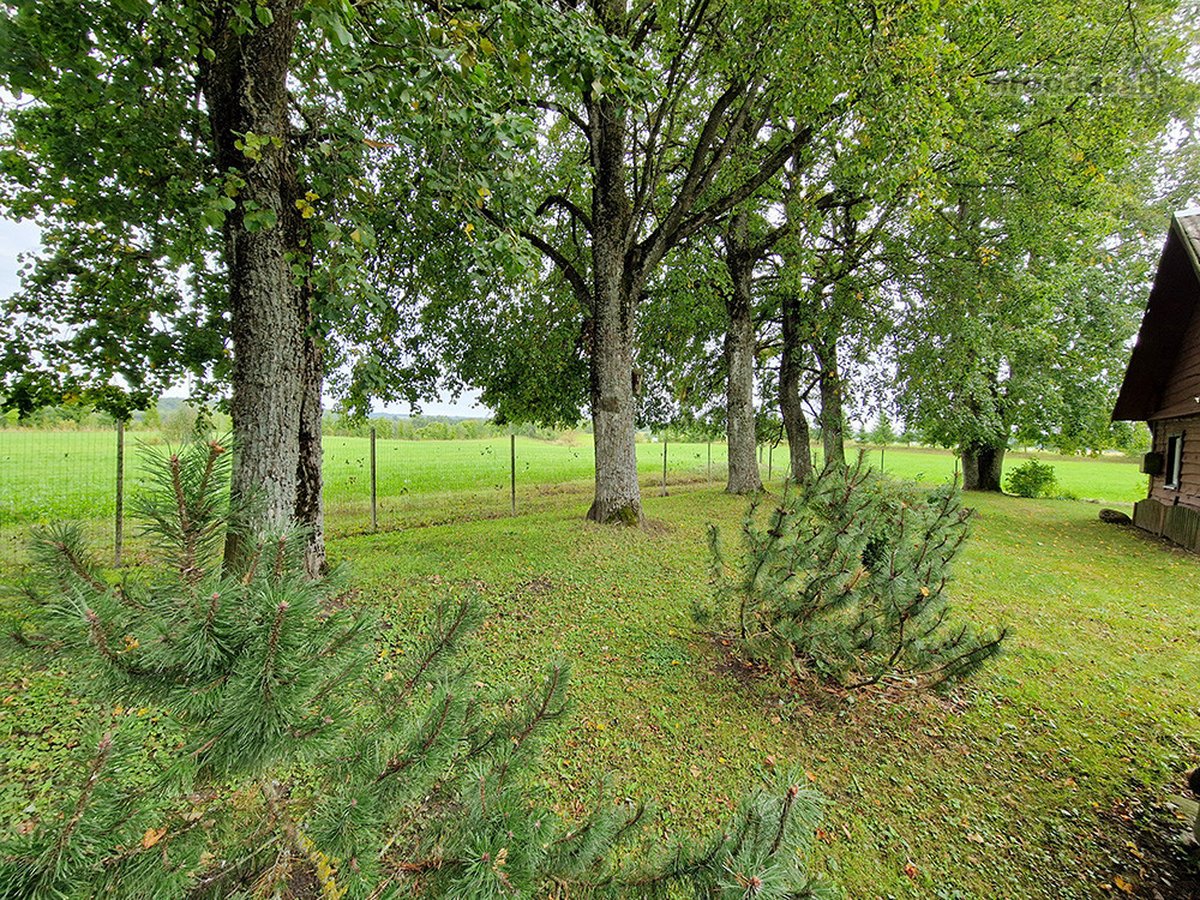 Puikus Pasiūlymas Kokybiškam Poilsiui Ar - nuotraukos Nr. 10
