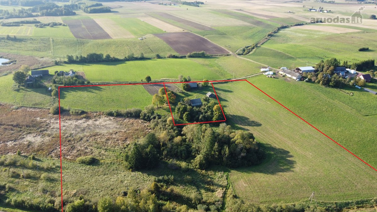 Nebrangi sodyba vos 6 km nuo Alytaus miesto - nuotraukos Nr. 6