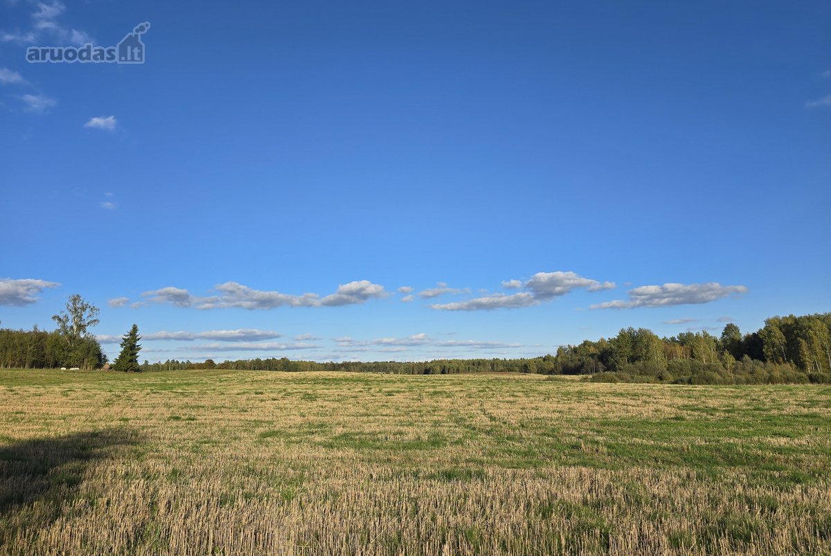 Parduodamas 3,5767 ha žemės sklypas Molėtų - nuotraukos Nr. 2