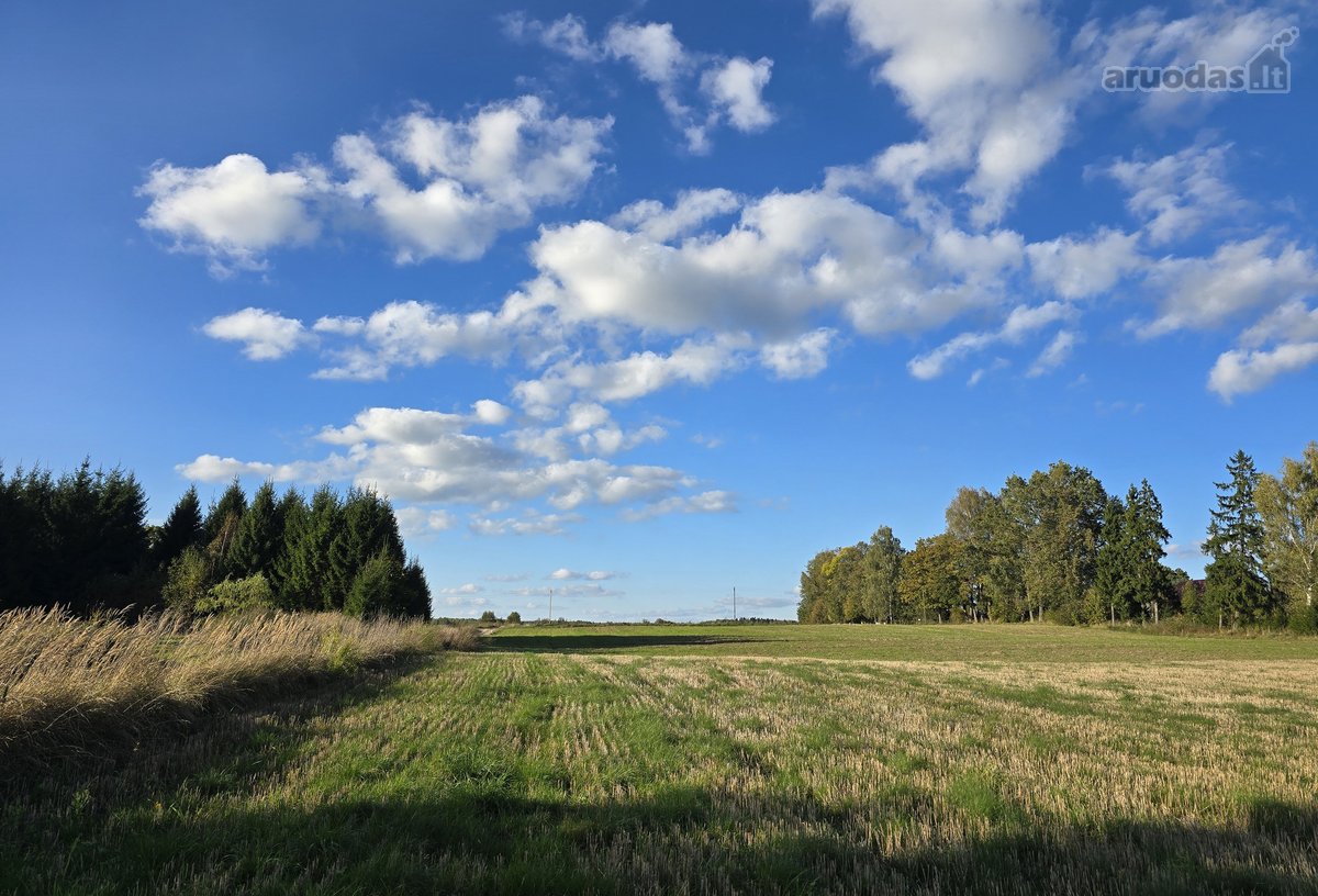 Parduodamas 3,5767 ha žemės sklypas Molėtų - nuotraukos Nr. 3