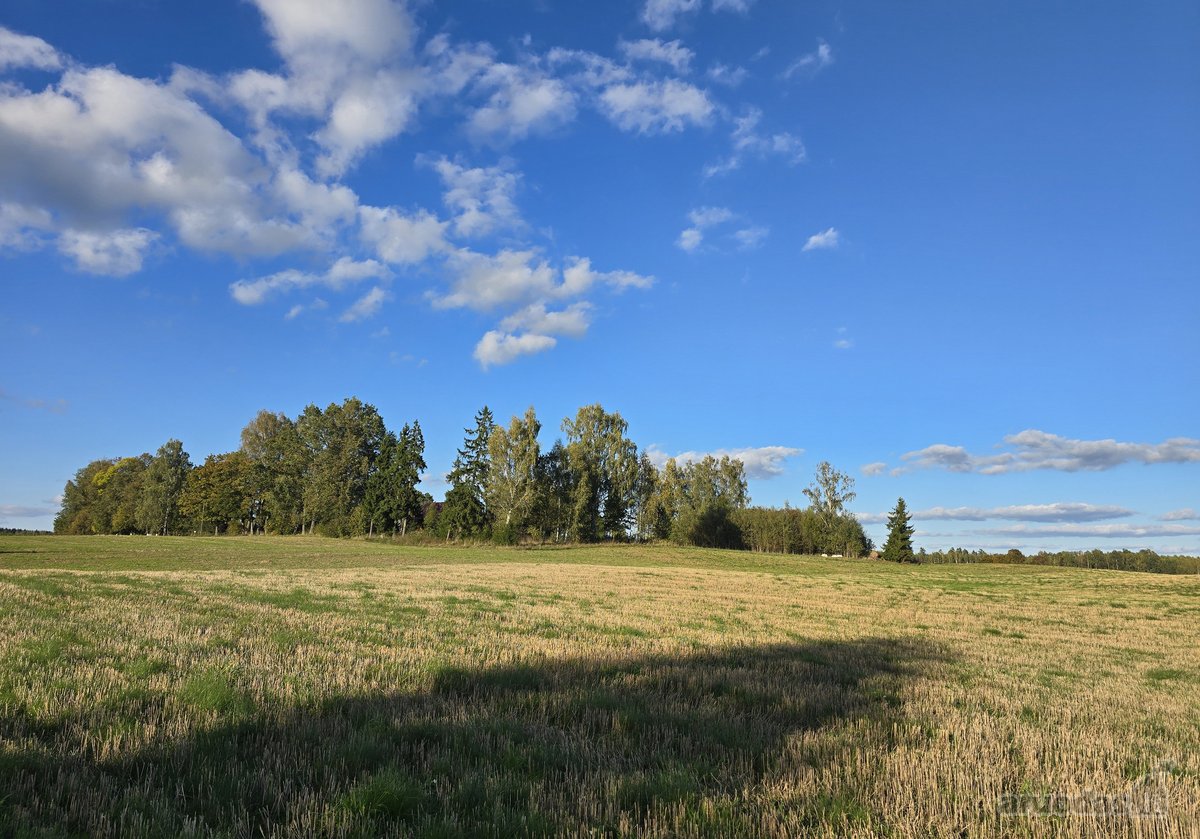 Parduodamas 3,5767 ha žemės sklypas Molėtų - nuotraukos Nr. 4