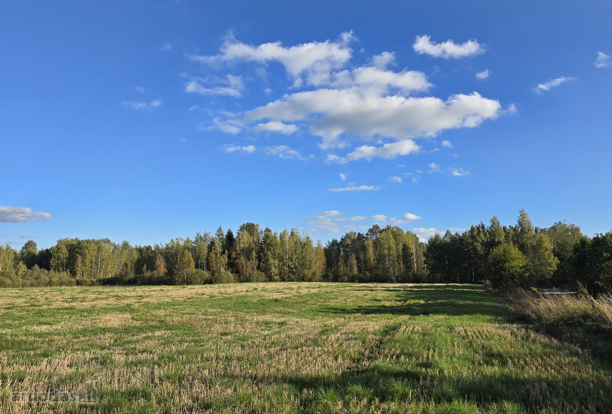 Parduodamas 3,5767 ha žemės sklypas Molėtų - nuotraukos Nr. 5