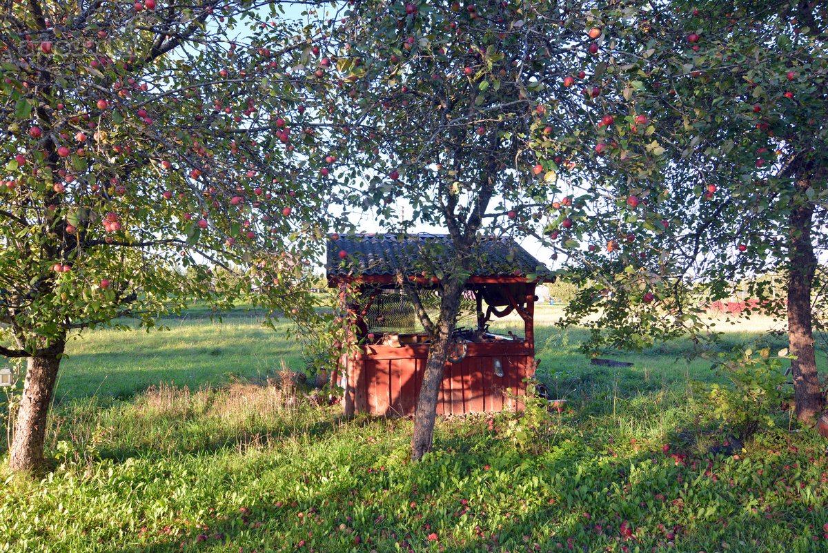 Parduodama sodyba prie Galuonų ežero Miežonių - nuotraukos Nr. 29