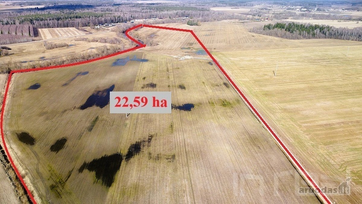 Parduodamas 22,59 Ha Sklypas Prie Lėvens Upės - nuotraukos Nr. 2