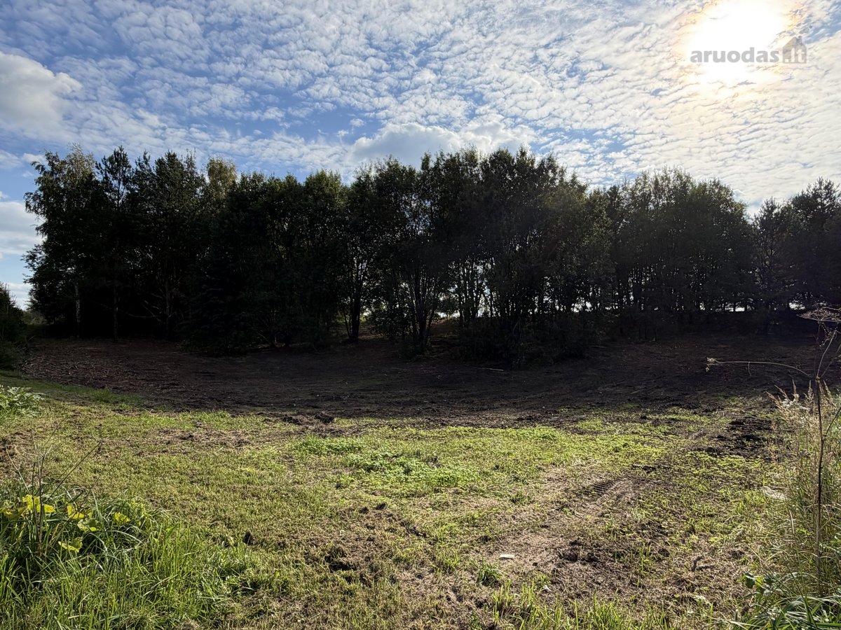 Alytaus r. sav., Užupių k. - nuotraukos Nr. 3