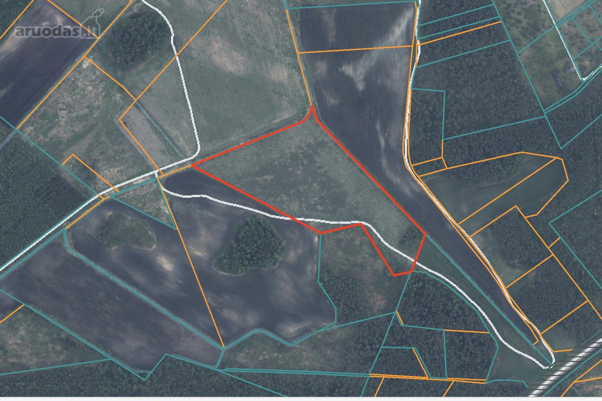Parduodamas erdvus 5,44 ha žemės ūkio - nuotraukos Nr. 3