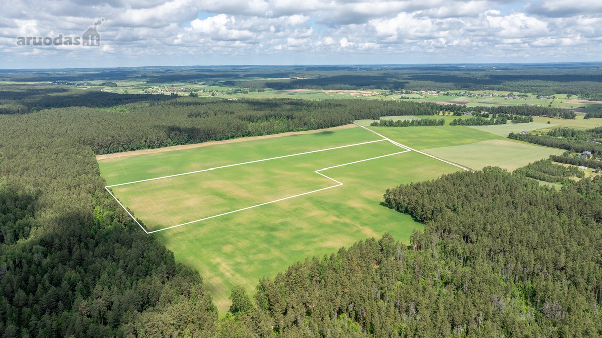 Parduodamas erdvus 5,99 ha žemės ūkio - nuotraukos Nr. 3