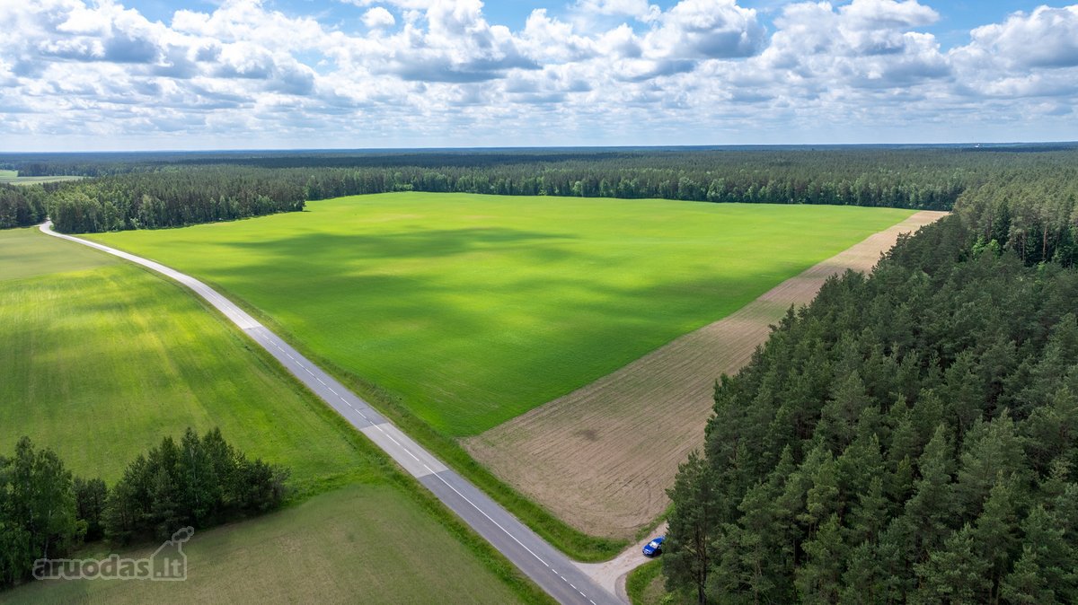 Parduodamas erdvus 5,99 ha žemės ūkio - nuotraukos Nr. 5