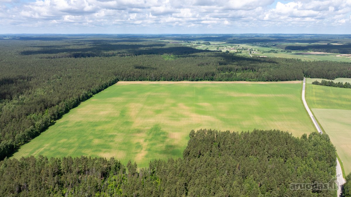 Parduodamas erdvus 5,99 ha žemės ūkio - nuotraukos Nr. 7