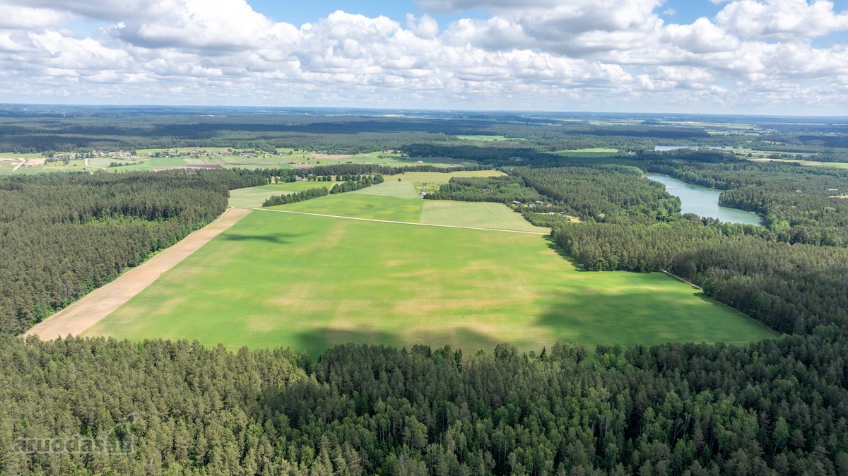 Parduodamas erdvus 5,99 ha žemės ūkio - nuotraukos Nr. 8