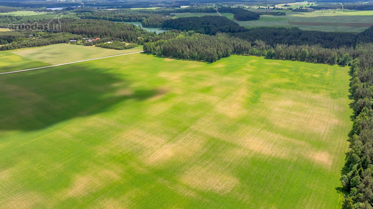 Parduodamas erdvus 5,99 ha žemės ūkio - nuotraukos Nr. 9