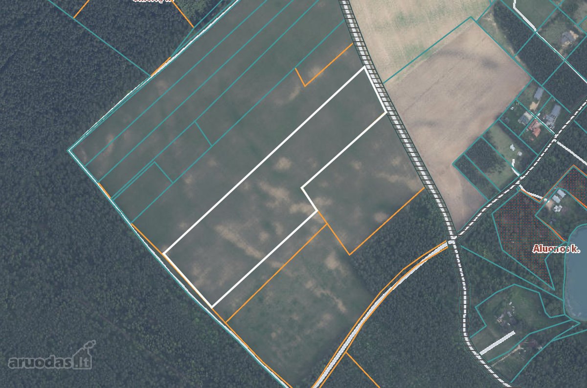 Parduodamas erdvus 5,99 ha žemės ūkio - nuotraukos Nr. 11